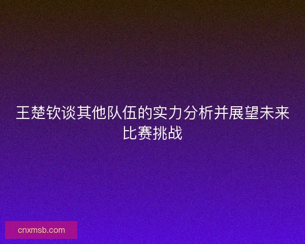 王楚钦谈其他队伍的实力分析并展望未来比赛挑战