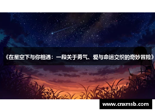 《在星空下与你相遇:一段关于勇气、爱与命运交织的奇妙冒险》