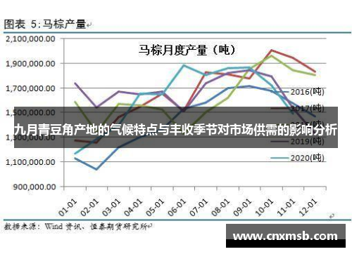 九月青豆角产地的气候特点与丰收季节对市场供需的影响分析