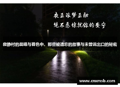 寂静村的晨曦与暮色中,那些被遗忘的故事与未曾说出口的秘密