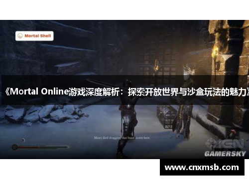 《Mortal Online游戏深度解析:探索开放世界与沙盒玩法的魅力》