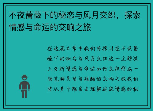 不夜蔷薇下的秘恋与风月交织,探索情感与命运的交响之旅